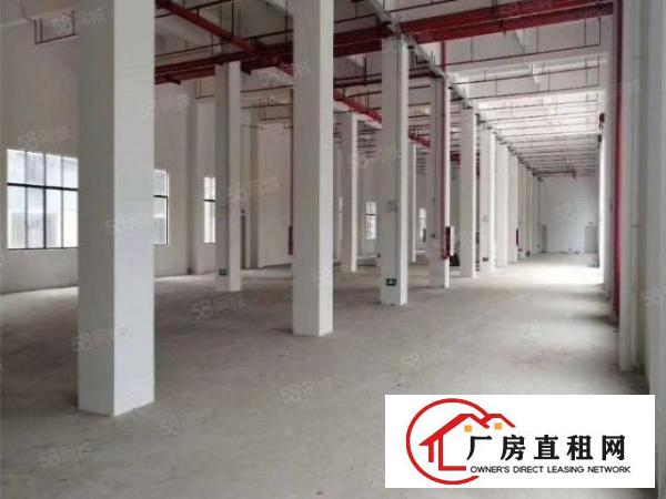  赤岭标准3000平1楼厂房出租可做厂库可分租价格面谈
