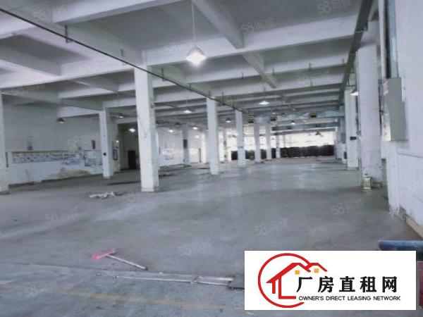 陈屋新出厂房原房东2000平可分租，交通便利，大车可入