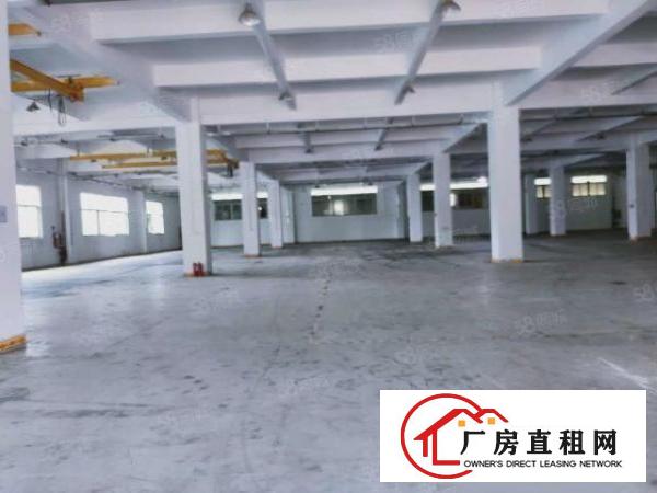  陈屋新出厂房原房东2000平可分租，交通便利，大车可入