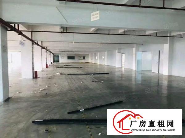 陈屋新出厂房原房东2000平可分租，交通便利，大车可入