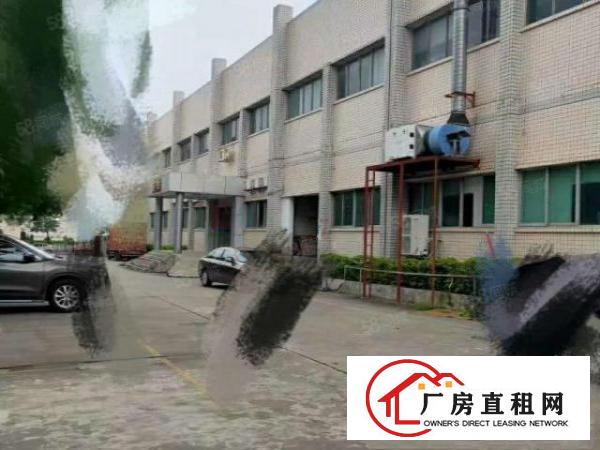  三屯新出单一层厂房2300平滴水9米豪华装修现成水电办公室！