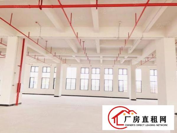  出租厚街层高7.5米厂房！带喷淋可分租可整租！