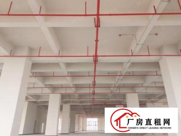  出租厚街层高7.5米厂房！带喷淋可分租可整租！