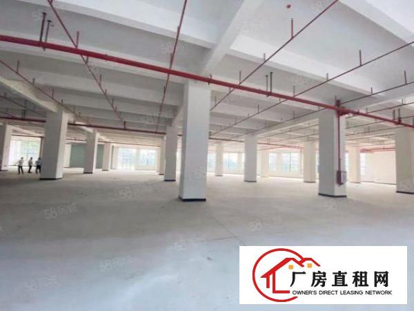  新出独门独院大小可分租外观形象水电齐全