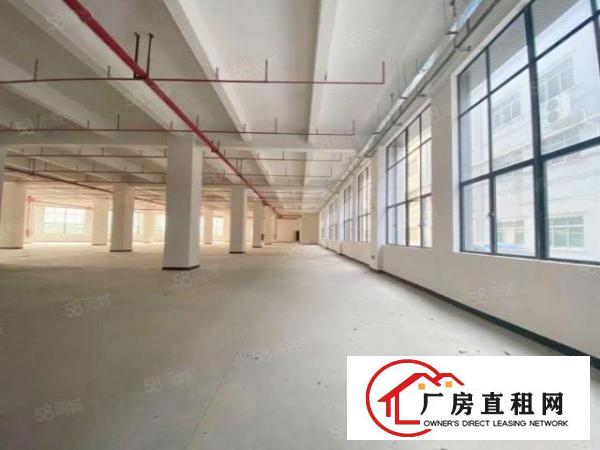  新出独门独院大小可分租外观形象水电齐全