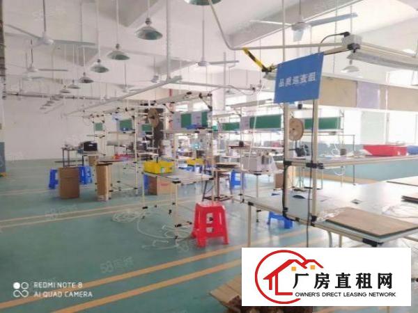  原房东独门独院5000平方大空地高绿化