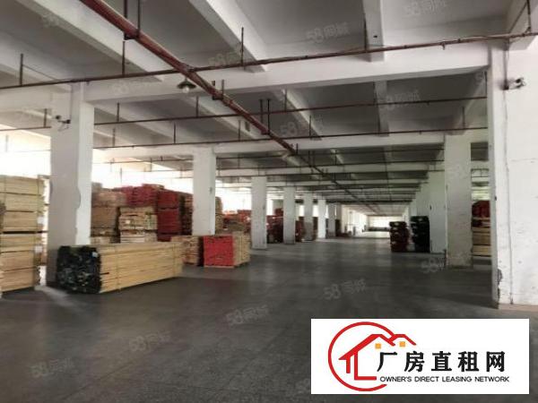  花园式独院厂房，形象高大上，上市公司形象