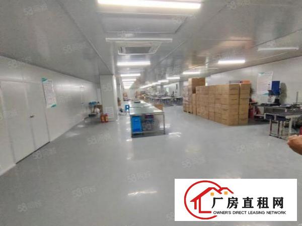  赤岭空出1200方带现成装修厂房，一手房东无转让费