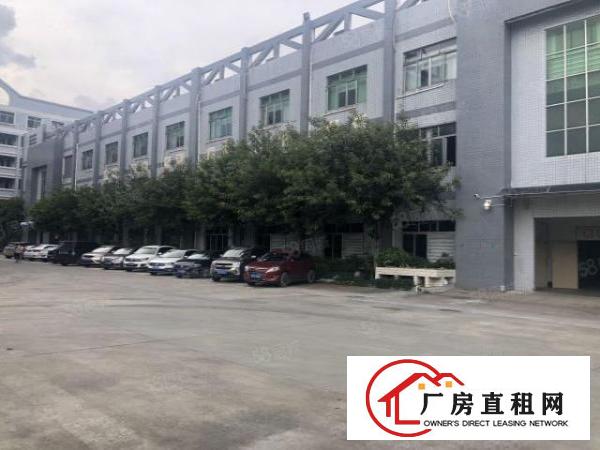  实图（花园式厂房可分租）厚街一楼3500平方现成装修办公室