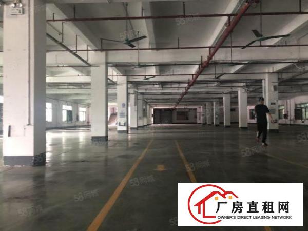  实图（花园式厂房可分租）厚街一楼3500平方现成装修办公室