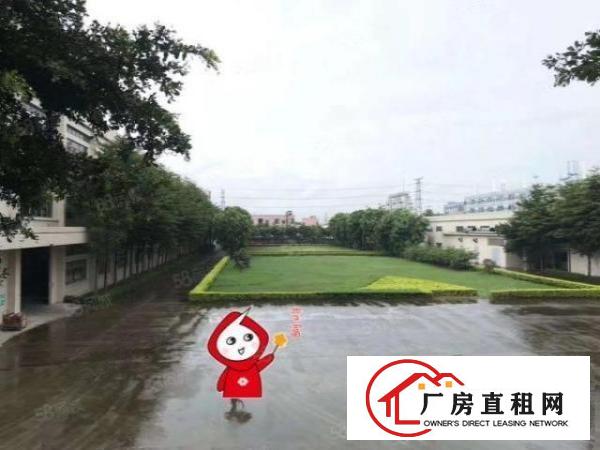  实图（广东省市范单位）厚街3.2万方花园式大型独院厂房。