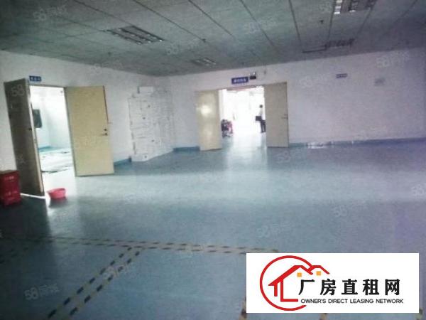  厚街新空出带丝印印花标准厂房形象好小面积
