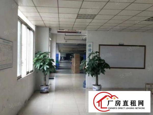  厚街三屯二楼1200平无尘车间出租，电梯直达水电齐全可办环评