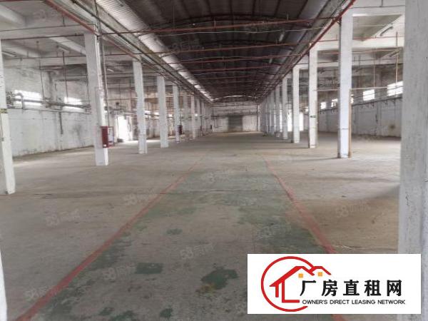  厚街溪头长度100米钢构厂房4200方招租