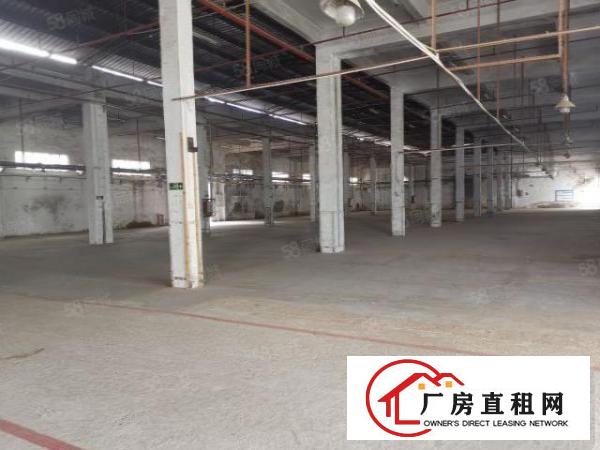  厚街溪头长度100米钢构厂房4200方招租