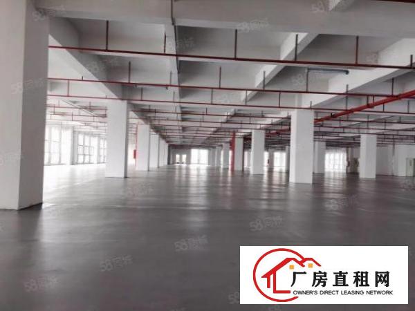  厚街镇大型电子厂分租二楼整层7000方厂房招租