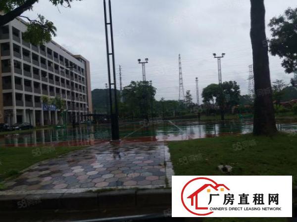  厚街镇全新独院2万至10万高新产业园厂房招租