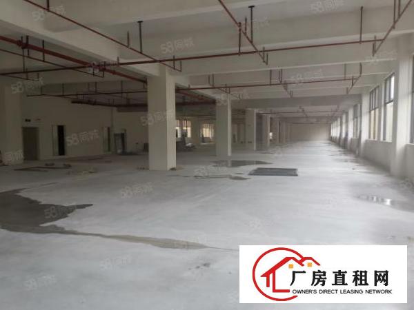  厚街镇全新独院2万至10万高新产业园厂房招租