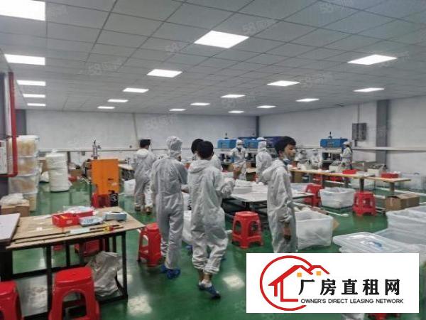  厚街沙塘一楼1500平厂房出租带小部分无尘车间形象好工业用地