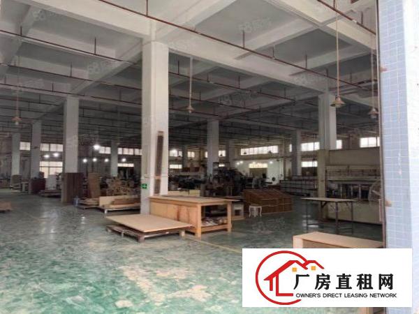  原房东独院家具厂房9000方带环评油房实际面积出租