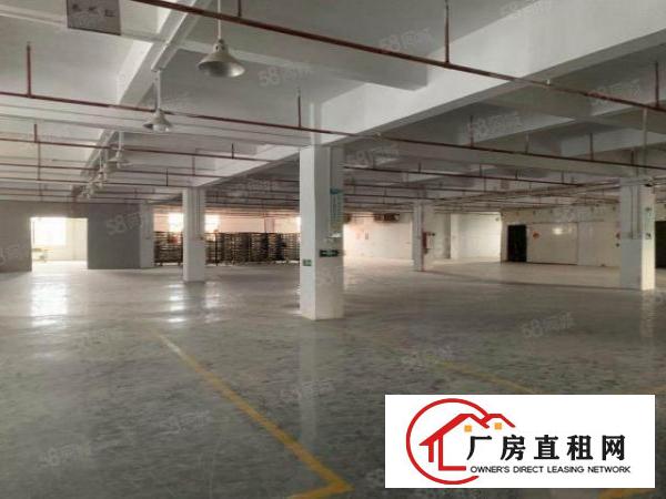  原房东独院家具厂房9000方带环评油房实际面积出租