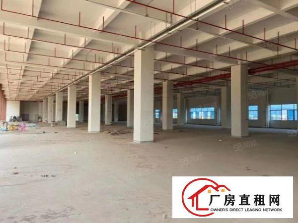  原房东独院家具厂房9000方带环评油房实际面积出租