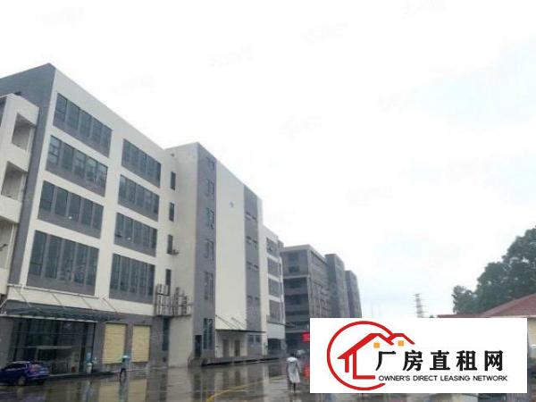  厚街15层独栋5000方高大上厂房出租，大小可分租