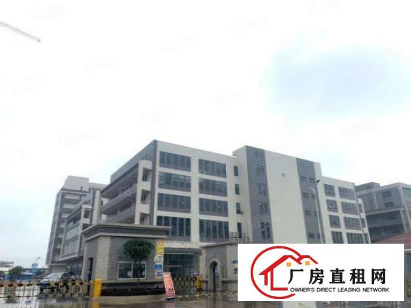  厚街15层独栋5000方高大上厂房出租，大小可分租