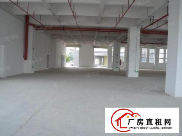  厚街15层独栋5000方高大上厂房出租，大小可分租