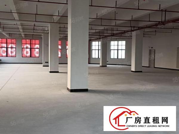  一手房东二楼1300平整层分租