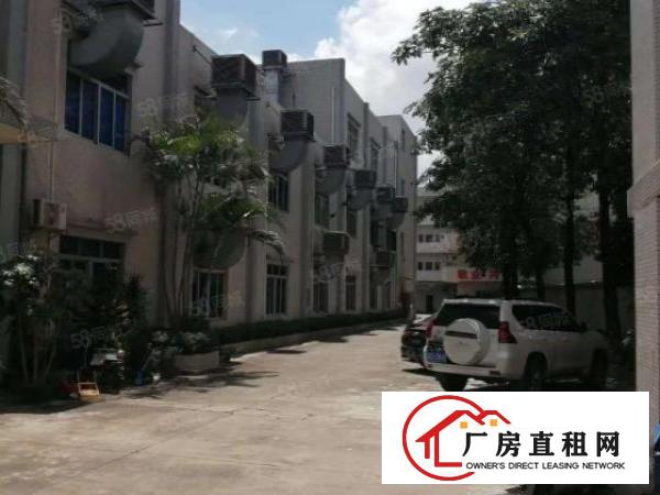  厚街新塘独院厂房