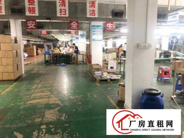  厚街新塘独院厂房