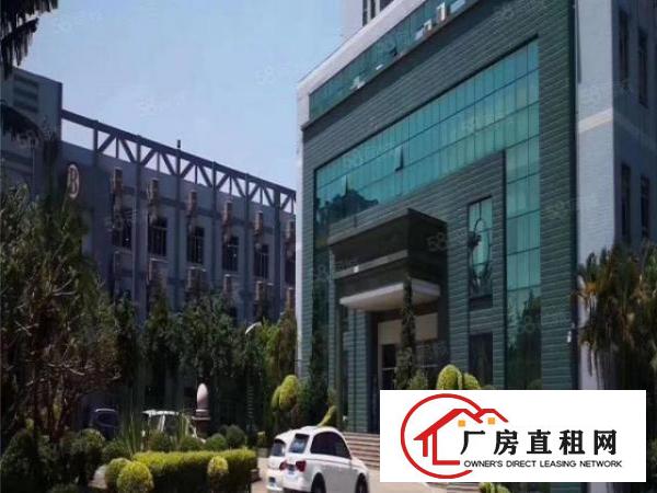  厚街桥头独院厂房出租4200平带宿舍现场办公室