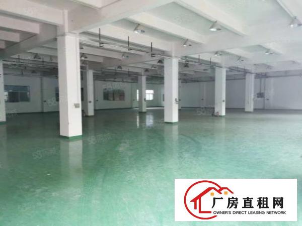  白濠独院三层5000方厂房仓库急租