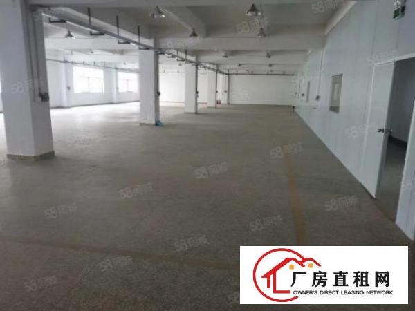  白濠独院三层5000方厂房仓库急租