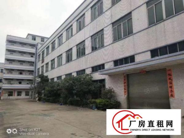  厚街三屯成熟工业园区楼上800平水电办公室齐全生活配套齐全