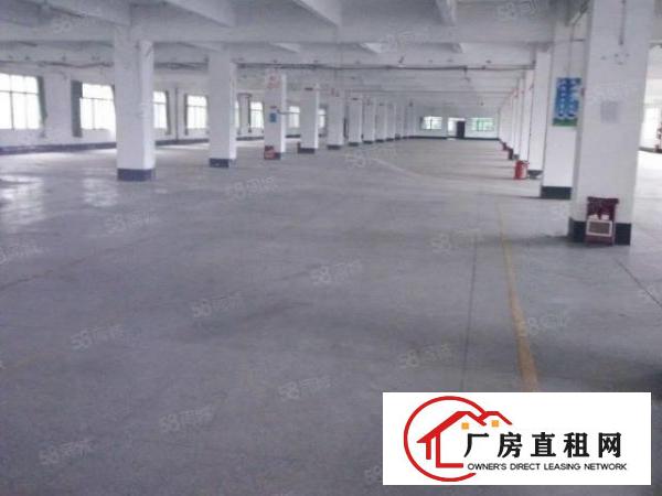  白濠工业园区新出楼上1000平带现成办公室装修