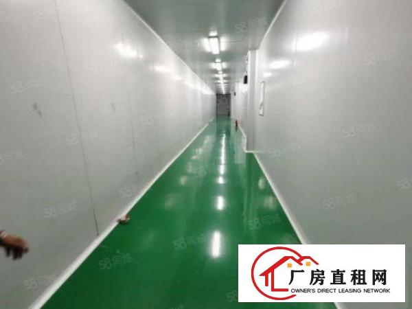  厚街刚空出2700平方精装修厂房出租仓库出租