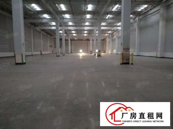  道滘全新标准大型物流仓