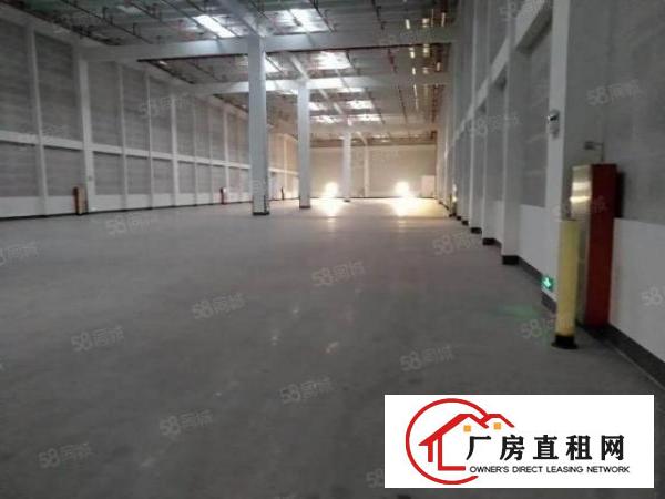  道滘全新标准大型物流仓