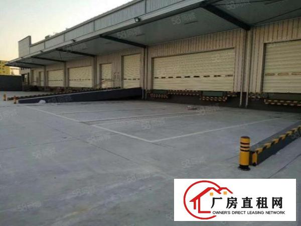  道滘全新标准大型物流仓