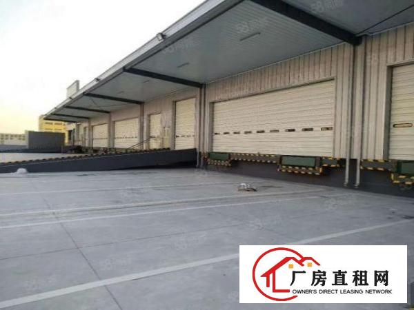  道滘全新标准大型物流仓