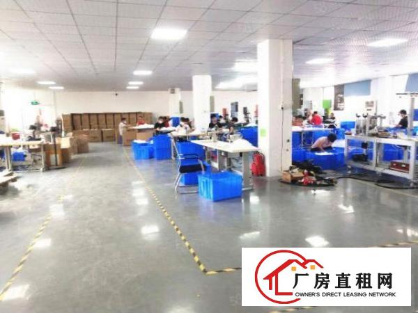  厚街下汴工业区独门独院厂房楼上一整层1500平，有洁净车间