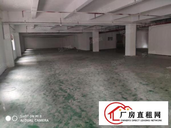  厚街新空出900平方精装修厂房出租仓库出租可办环评
