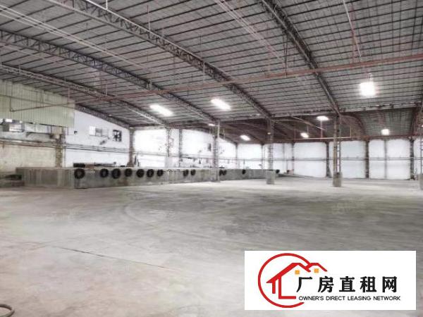  厚街独院单一层厂房，带家具环评9600方出租