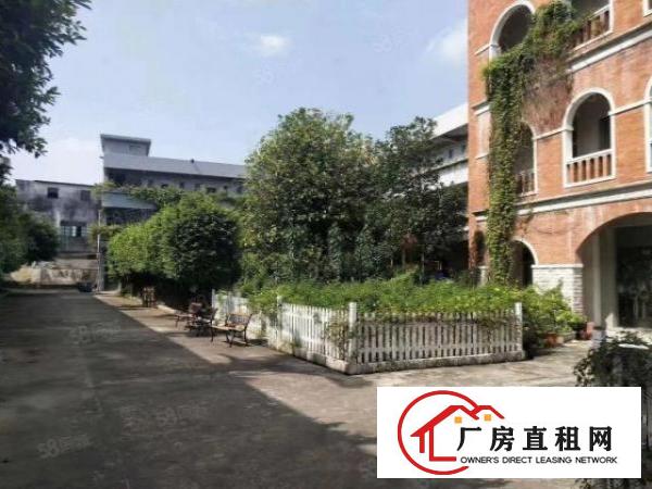  厚街原房东花园式独院1万平方厂房