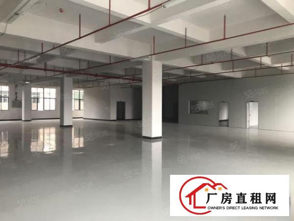  厚街十万级无尘车间，楼上整层3000平方