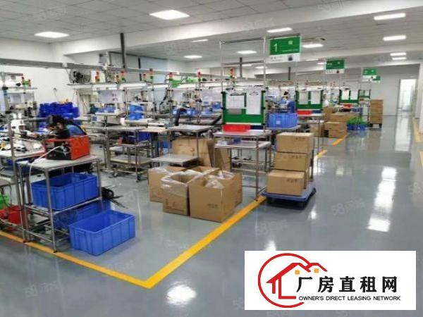  厚街精装修1500平方厂房出租仓库出租可办环评