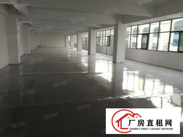  标准厂房楼上5000平方出租可分租