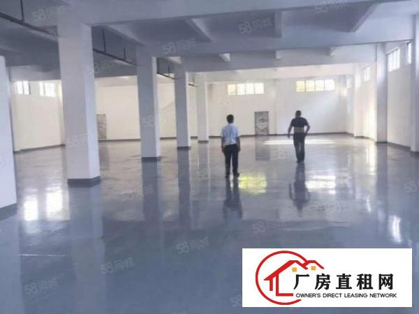  全新厂房，带地板漆，超大电梯